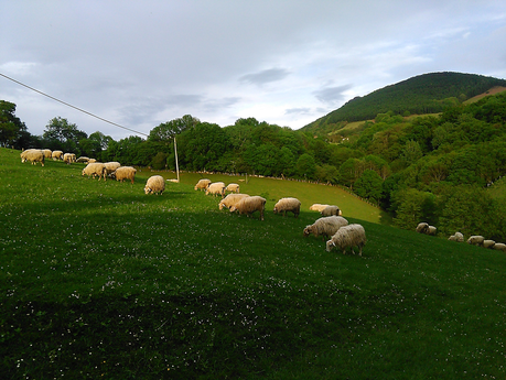 Desconectando en Navarra