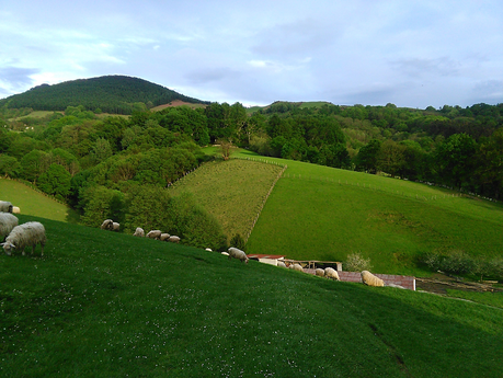 Desconectando en Navarra