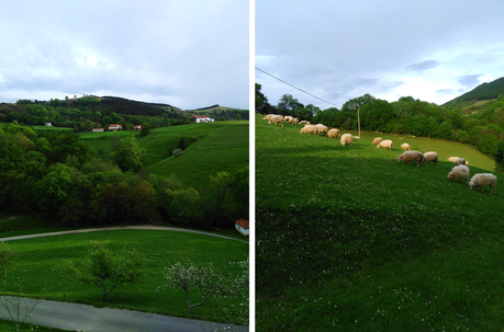Desconectando en Navarra