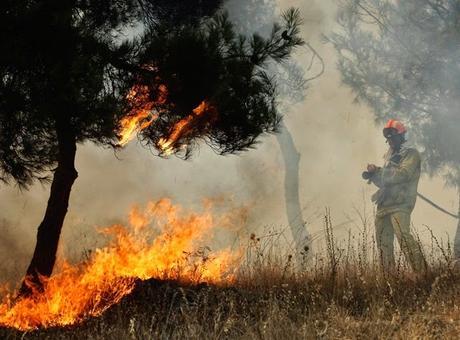 Día Internacional del Combatiente de Incendios Forestales