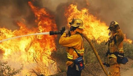 Día Internacional del Combatiente de Incendios Forestales