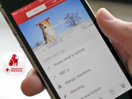 Pet First Aid by American Red Cross