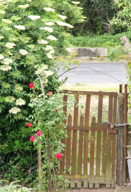 A menudo digo aquí que viajar es uno de mis hobbies y que...