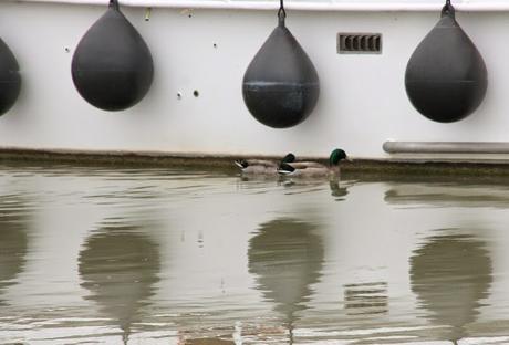 A menudo digo aquí que viajar es uno de mis hobbies y que...