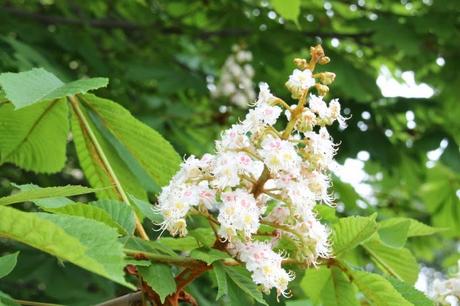 A menudo digo aquí que viajar es uno de mis hobbies y que...