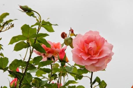 A menudo digo aquí que viajar es uno de mis hobbies y que...