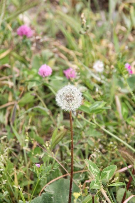 A menudo digo aquí que viajar es uno de mis hobbies y que...