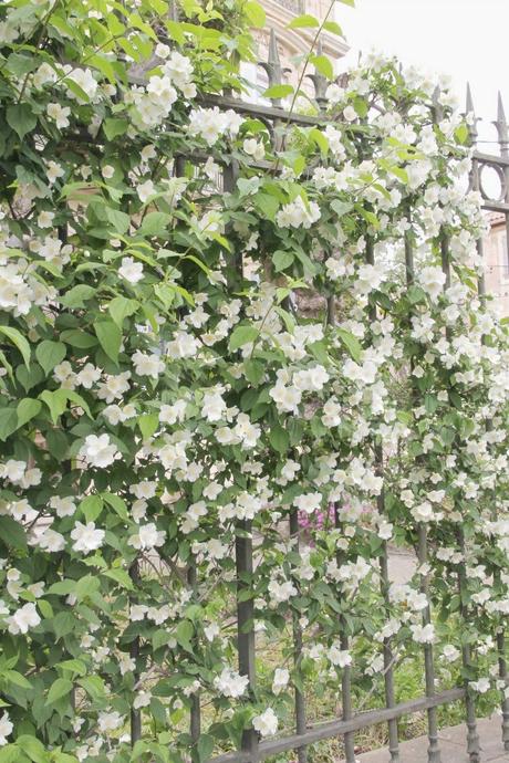 A menudo digo aquí que viajar es uno de mis hobbies y que...