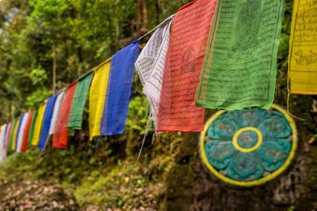 Banderas tibetanas en Sikkim