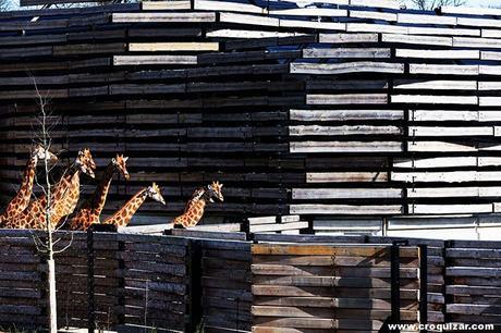 PAR-242-Paris Zoological Park-0