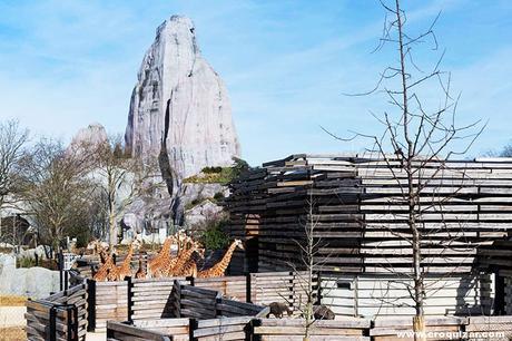 PAR-242-Paris Zoological Park-0.0