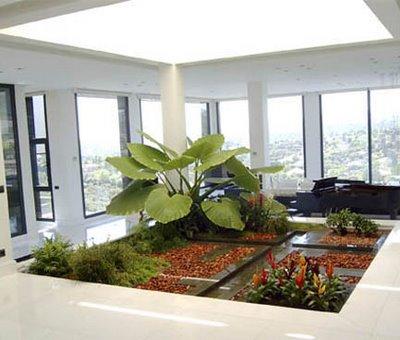 Ideas para un jardin interior