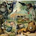 El TTIP y la Ecología La ecología y la fauna en peligro