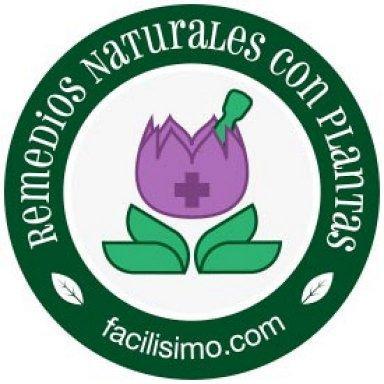 REMEDIOS NATURALES CON LINAZA