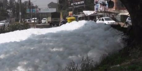 Orina causa asquerosa espuma en el lago Varthur de la India