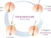 cabello fuerte sano desde interior