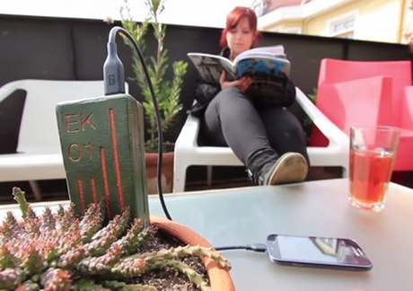 Pronto podrás cargar tu celular conectándolo a una planta