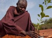 Conozca hombre detuvo avance desierto