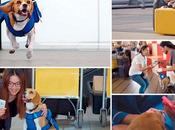 perro rescata objetos perdidos vuelos