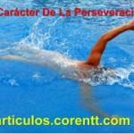 ¿Cómo adquirir el carácter de la perseverancia?