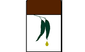 Combatir la congestión nasal con plantas