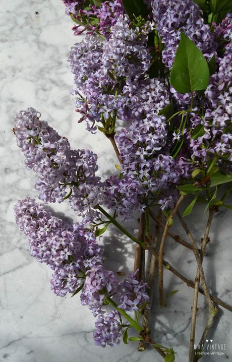 lilas, flores, primavera, jarra, composicion, ramo, aroma, 