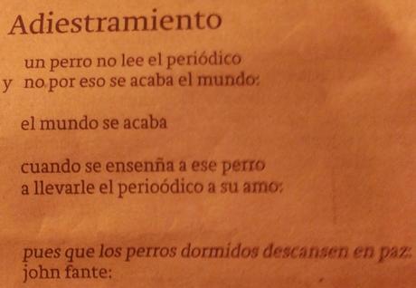 Vanessa Gutiérrez: Transmitir aliento: