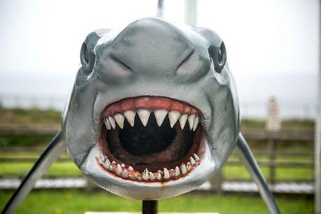 Centro de Interpretación Faro de Peñas