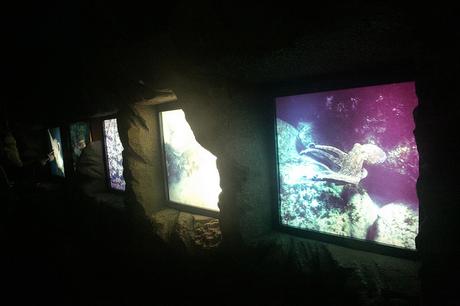 Centro de Interpretación Faro de Peñas