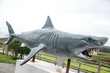 Centro de Interpretación Faro de Peñas