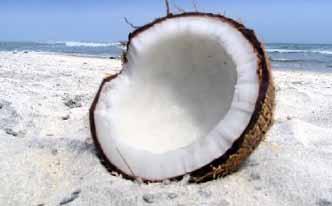 Fortalecer el sistema inmune con aceite de coco