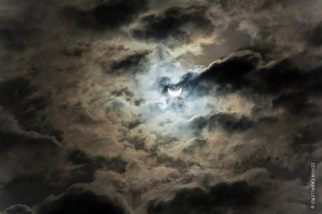 El Universo El Universo