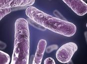 ¿Cómo actúa legionella?