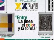 Entre Línea, Color Forma