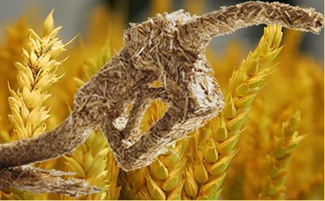 Los biocombustibles (1)