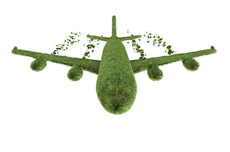 Los biocombustibles (1)