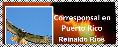 Ricardo Montaner puro sentimiento