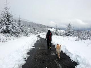 O Cebreiro: nieve y diversión bajo cero.