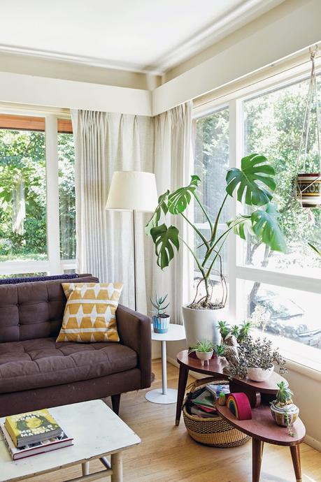 Decora con flores y plantas cualquier estancia de casa