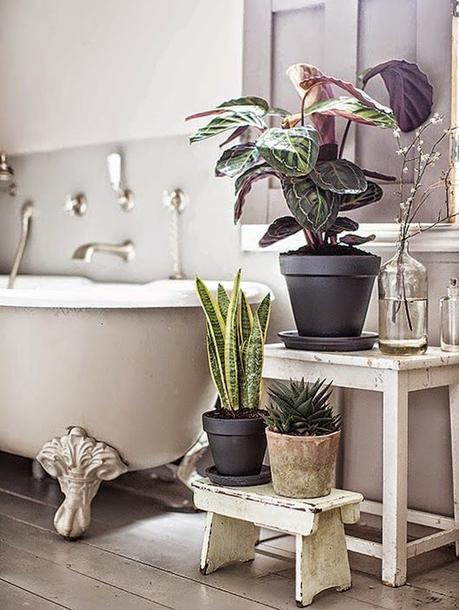 Decora con flores y plantas cualquier estancia de casa