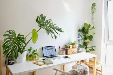 Decora con flores y plantas cualquier estancia de casa