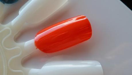 Colección SS15 Samoa by Etnia Cosmetics Colección SS15 Samoa by Etnia Cosmetics