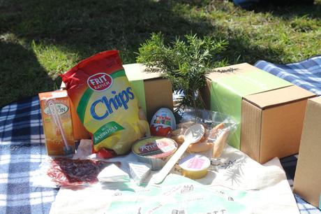 P_Picnic_Barcelona