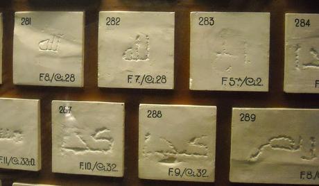 Enseñar a las empresas, a tus clientes, a aprovechar tus habilidades.