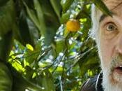 'Mandarinas': tierra nadie