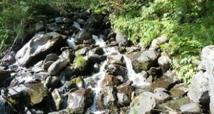 Artiga de Lin - Enodius