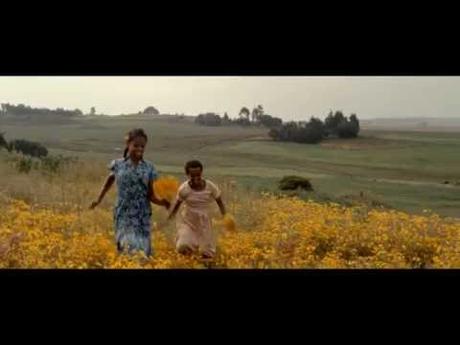 Imagen de previsualización de YouTube