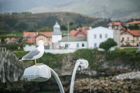 Llanes, Asturias
