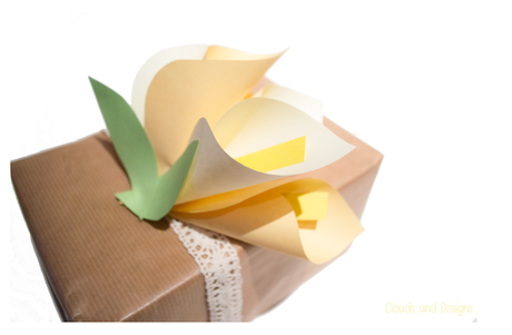 Empaquetado-mayo-C&D