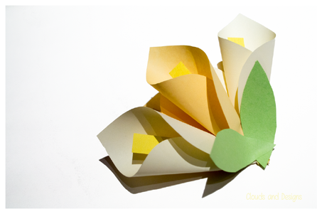 Empaquetado-mayo-C&D